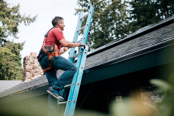 Best Skylight Installation and Repair  in Llano Grande, TX